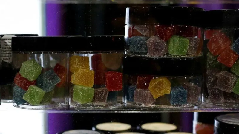 Don't Let Your Gummies Go Bad: The Complete Guide to CBD Storage and Freshness